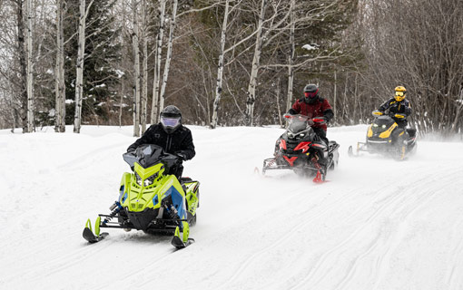 Trail Guide